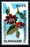 Sellos de America - Surinam -  serie- Flores de Pascua