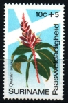 Sellos de America - Surinam -  serie- Flores de Pascua
