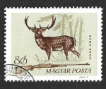 Stamps Hungary -  1630 - Gamo Común Europeo
