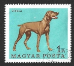 Stamps : Europe : Hungary :  1837 - Pointer Hungaro