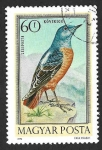 Stamps Hungary -  C338 - Zorzal de Roca