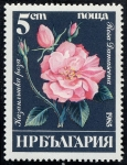 Stamps Bulgaria -  Flores