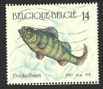 Stamps Belgium -  1383 - Perca