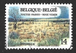 Stamps Belgium -  1406 - Reserva Natural de Hautes Fagnes