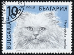 Stamps : Europe : Bulgaria :  Gatos