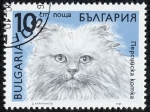 Stamps Bulgaria -  Gatos