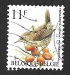 Stamps Belgium -  1445 - Chochín Común