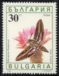 Stamps : Europe : Bulgaria :  Mariposas