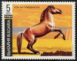 Stamps Bulgaria -  Caballos