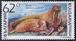 Stamps : Europe : Bulgaria :  Vida marina