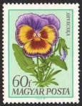 Stamps Hungary -  Flowers (1968)
