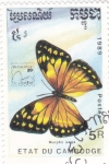 Stamps : Asia : Cambodia :  Mariposa