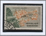 Stamps : Africa : Gabon :  Casia Amarilla