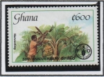 Sellos de Africa - Ghana -  FAO, Cosecha