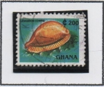 Stamps Ghana -  Catacola Blanca Esmaltada