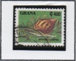 Sellos de Africa - Ghana -  Caracol Tigre