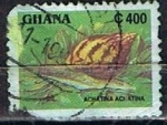 Sellos de Africa - Ghana -  Caracol Tigre