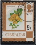 Stamps : Europe : Gibraltar :  Coronilla Valentina