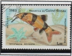 Sellos de Africa - Guinea Bissau -  Botia Macracanthus