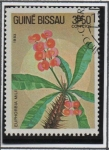 Stamps Guinea Bissau -  Euphorbia milii