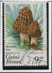 Stamps Guinea Bissau -  Hongos, Morchella elata