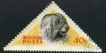 Stamps : Europe : Hungary :  Perro