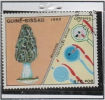 Stamps : Africa : Guinea_Bissau :  Hogos, Morchella