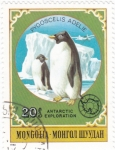 Stamps Mongolia -  EXPLORACIÓN DE LA ANTARTIDA