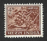 Stamps India -  407 - Café