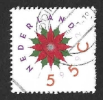 Stamps Netherlands -  819 - Flor de Pascua 