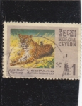 Sellos de Asia - Sri Lanka -  LEOPARDO