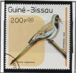 Stamps : Africa : Guinea_Bissau :  Oena Campense