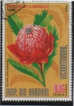 Stamps Equatorial Guinea -  Teleopea Speliossima