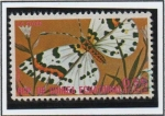 Stamps Equatorial Guinea -  Mariposas, La Gaze