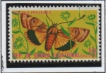 Sellos de Africa - Guinea Ecuatorial -  Mariposas, Moctua Frajeada