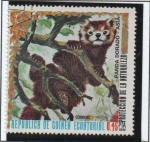 Stamps Equatorial Guinea -  animales d' Asia . Panda Dorado