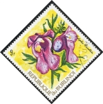 Sellos de Africa - Burundi -  Flores