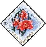 Stamps Burundi -  Flores