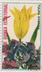 Stamps Equatorial Guinea -  Tulipa hybrida