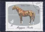 Stamps Hungary -  CABALLO