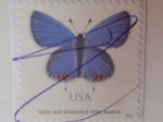 Stamps : America : United_States :  Eastern tailed Blue-Azul de Cola Oriental (Cupido Comyntas)-Non-Machineable Surcharge.