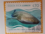 Sellos de America - Costa Rica -  Whale Sharjk - tiburon Ballena - Serie;Endangered Sealife-2019Vida marina en peligro de extinción.