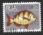 Stamps South Africa -  414 - Sargo Real