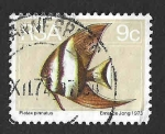 Stamps South Africa -  415 - 	Pez Murciélago de Cara Roja