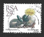 Stamps South Africa -  744 - Cáctus 