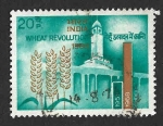 Stamps India -  468 - Excelente Cosecha de Trigo en 1968