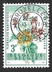 Stamps Belgium -  541 - Begonias
