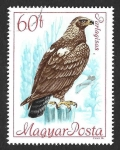 Stamps Hungary -  1891 - Águila Imperial Oriental
