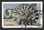 Stamps Africa - Zambia -  519 - Jineta Pardina