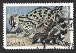 Sellos del Mundo : Africa : Zambia : 519 - Jineta Pardina